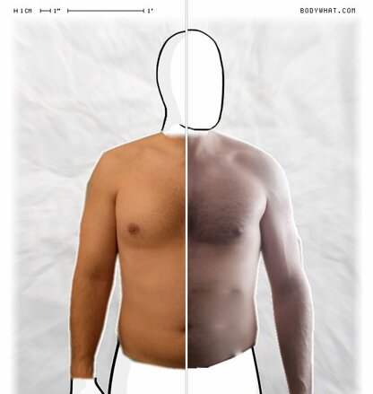 Torso Comparison