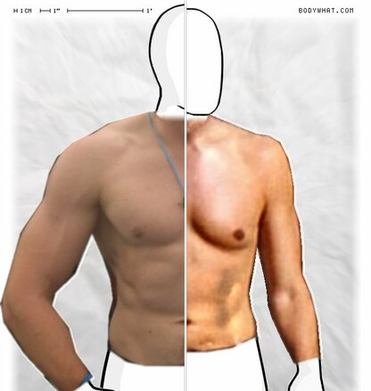 Torso Comparison