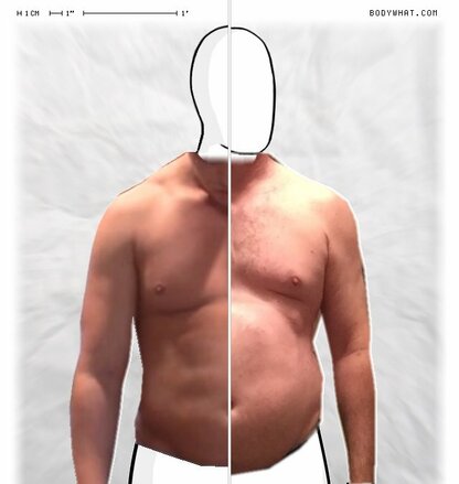 Torso Comparison