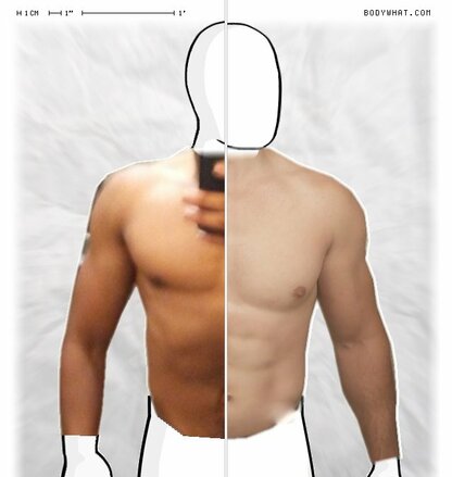 Torso Comparison