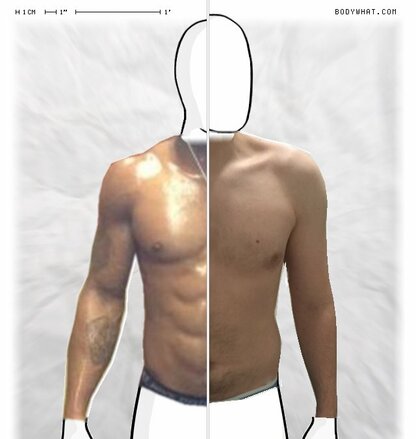 Torso Comparison