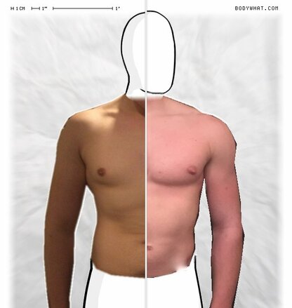 Torso Comparison