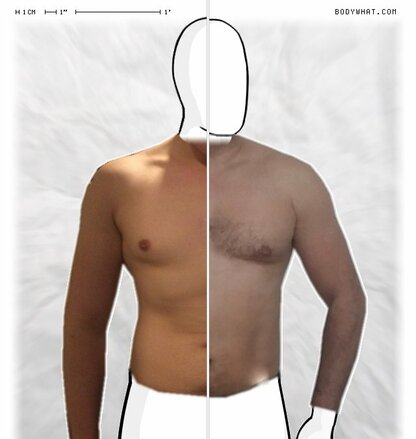 Torso Comparison