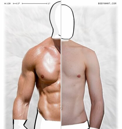 Torso Comparison