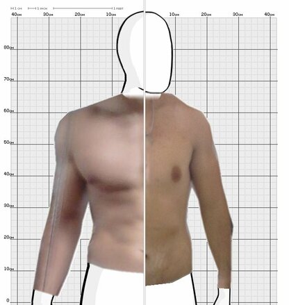 Torso Comparison