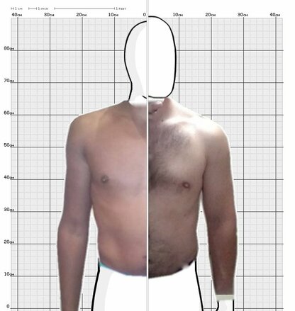 Torso Comparison