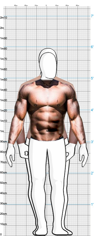 Full Size Comparison