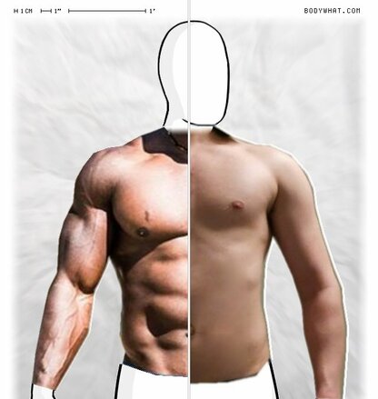 Torso Comparison