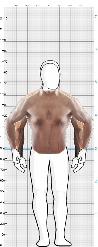 Full Size Comparison