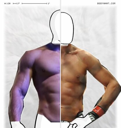 Torso Comparison