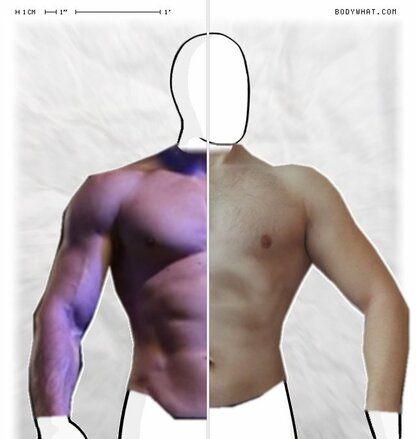Torso Comparison