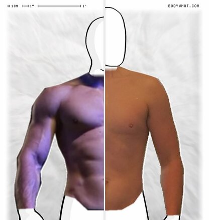 Torso Comparison