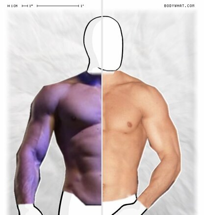 Torso Comparison