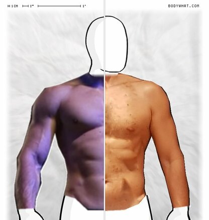 Torso Comparison