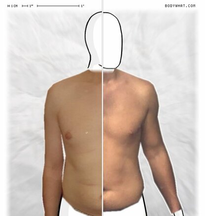 Torso Comparison