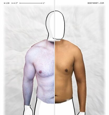 Torso Comparison