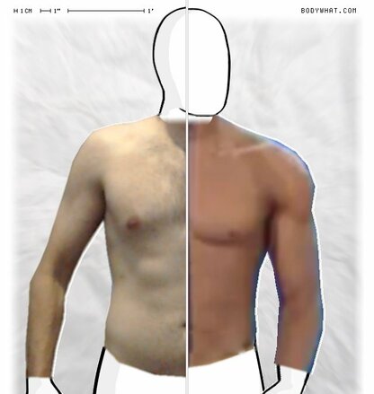 Torso Comparison