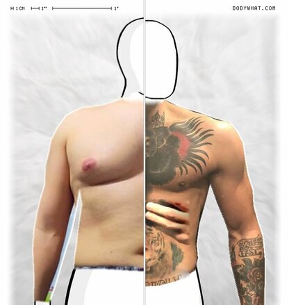 Torso Comparison