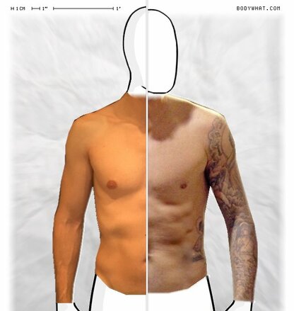 Torso Comparison