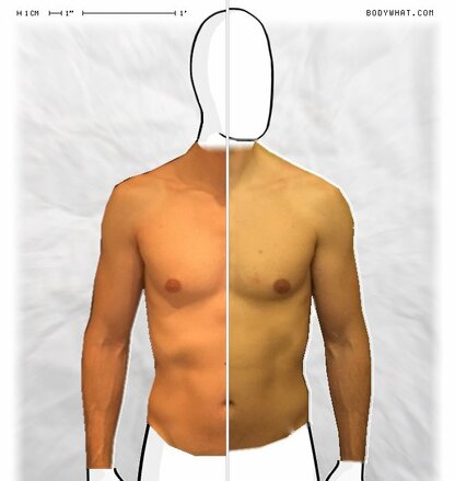 Torso Comparison