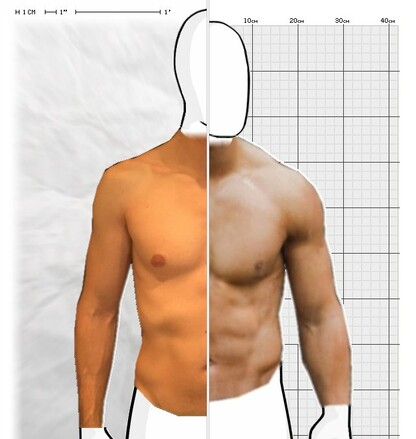 Torso Comparison