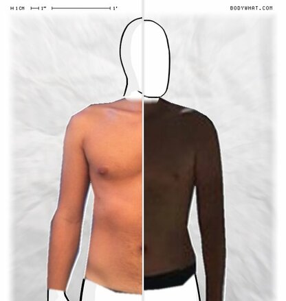 Torso Comparison