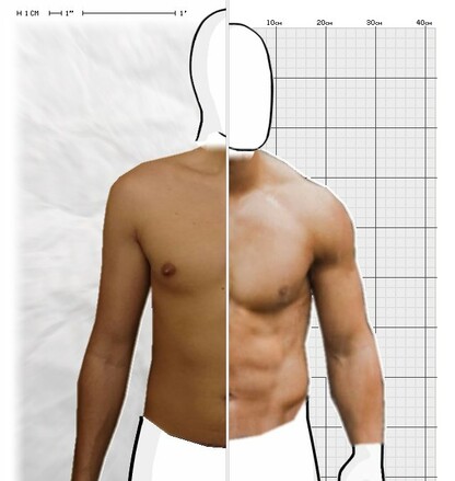 Torso Comparison