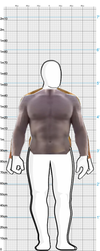 Full Size Comparison