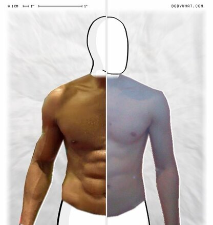 Torso Comparison