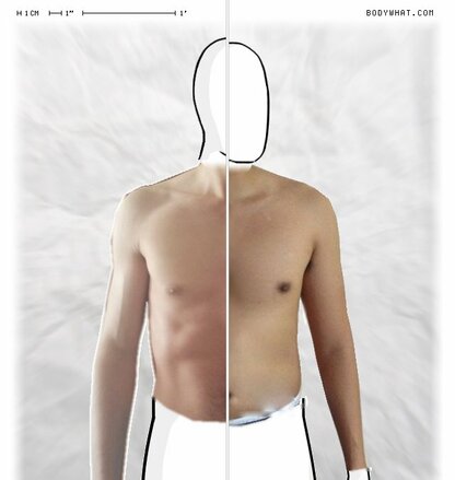 Torso Comparison