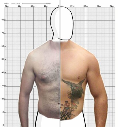 Torso Comparison