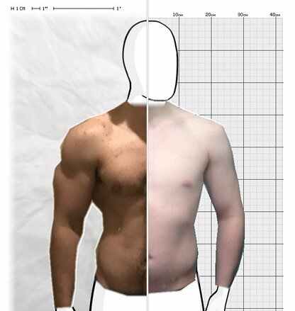 Torso Comparison