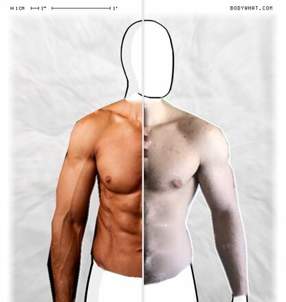 Torso Comparison