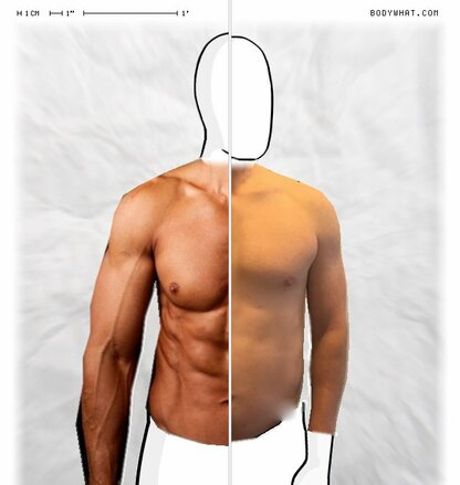 Torso Comparison