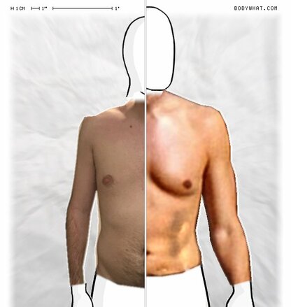 Torso Comparison