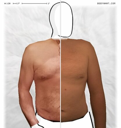 Torso Comparison