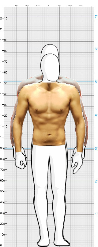 Full Size Comparison