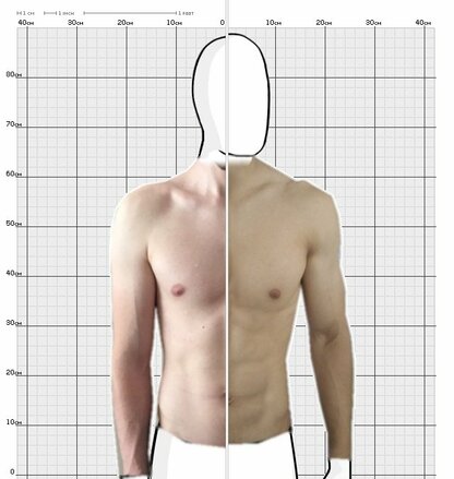 Torso Comparison