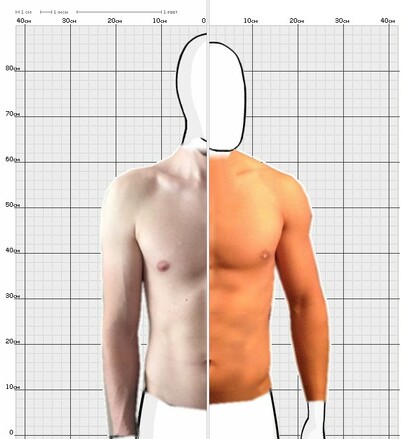 Torso Comparison