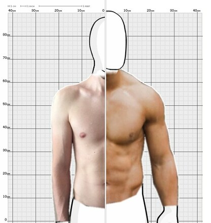 Torso Comparison