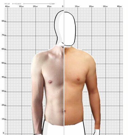 Torso Comparison