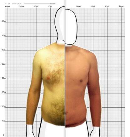 Torso Comparison