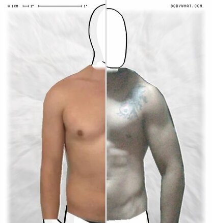 Torso Comparison