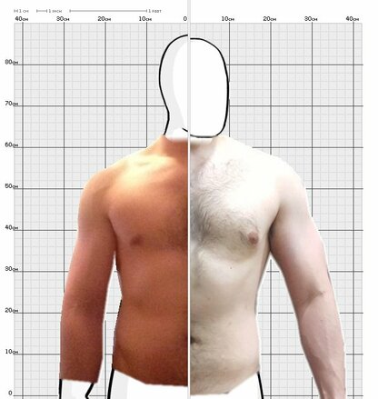 Torso Comparison