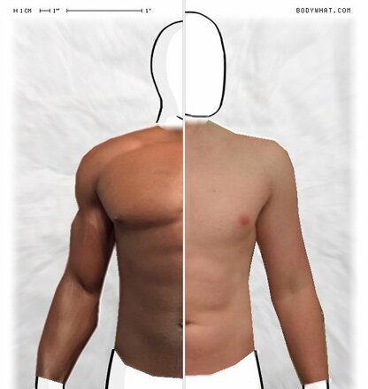 Torso Comparison