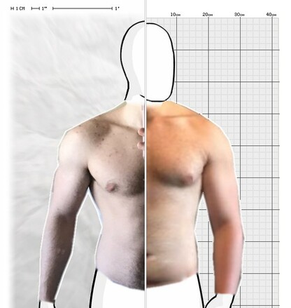 Torso Comparison