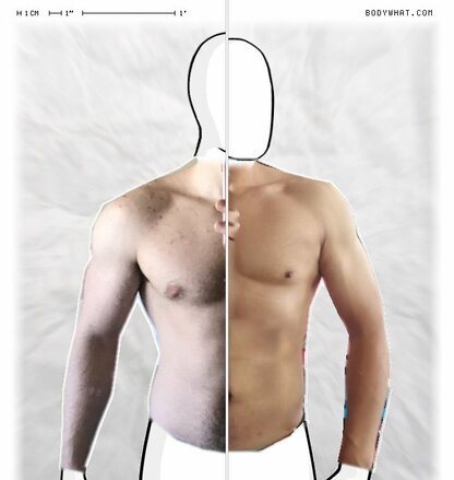 Torso Comparison