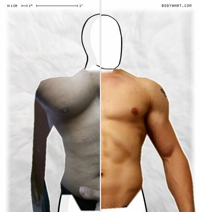 Torso Comparison