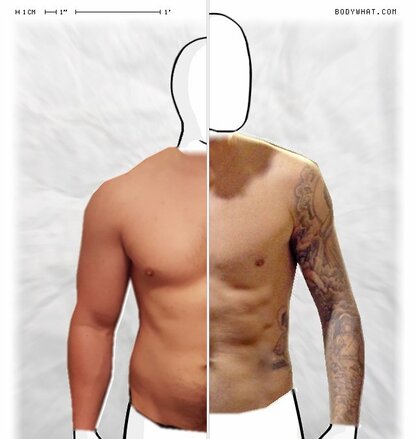 Torso Comparison