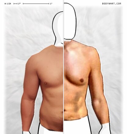 Torso Comparison